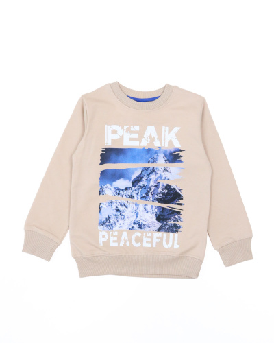 FIRST KIDS 2064 Свитшот (цвет: Бежевый)