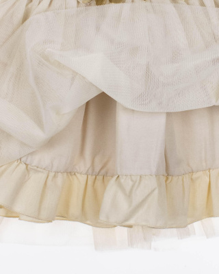 2023_12_07_0081919 2023_12_07_0081919