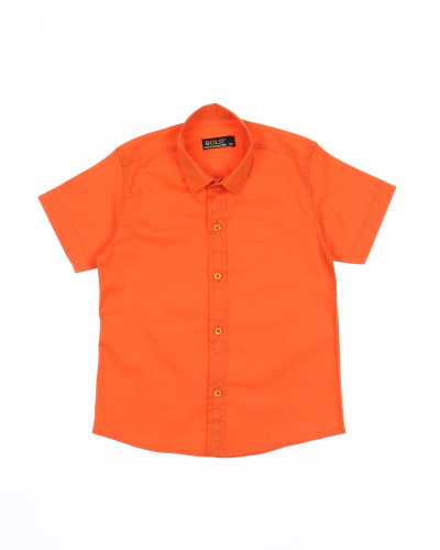 BOLD 145050./1 Рубашка (цвет: Оранжевый)